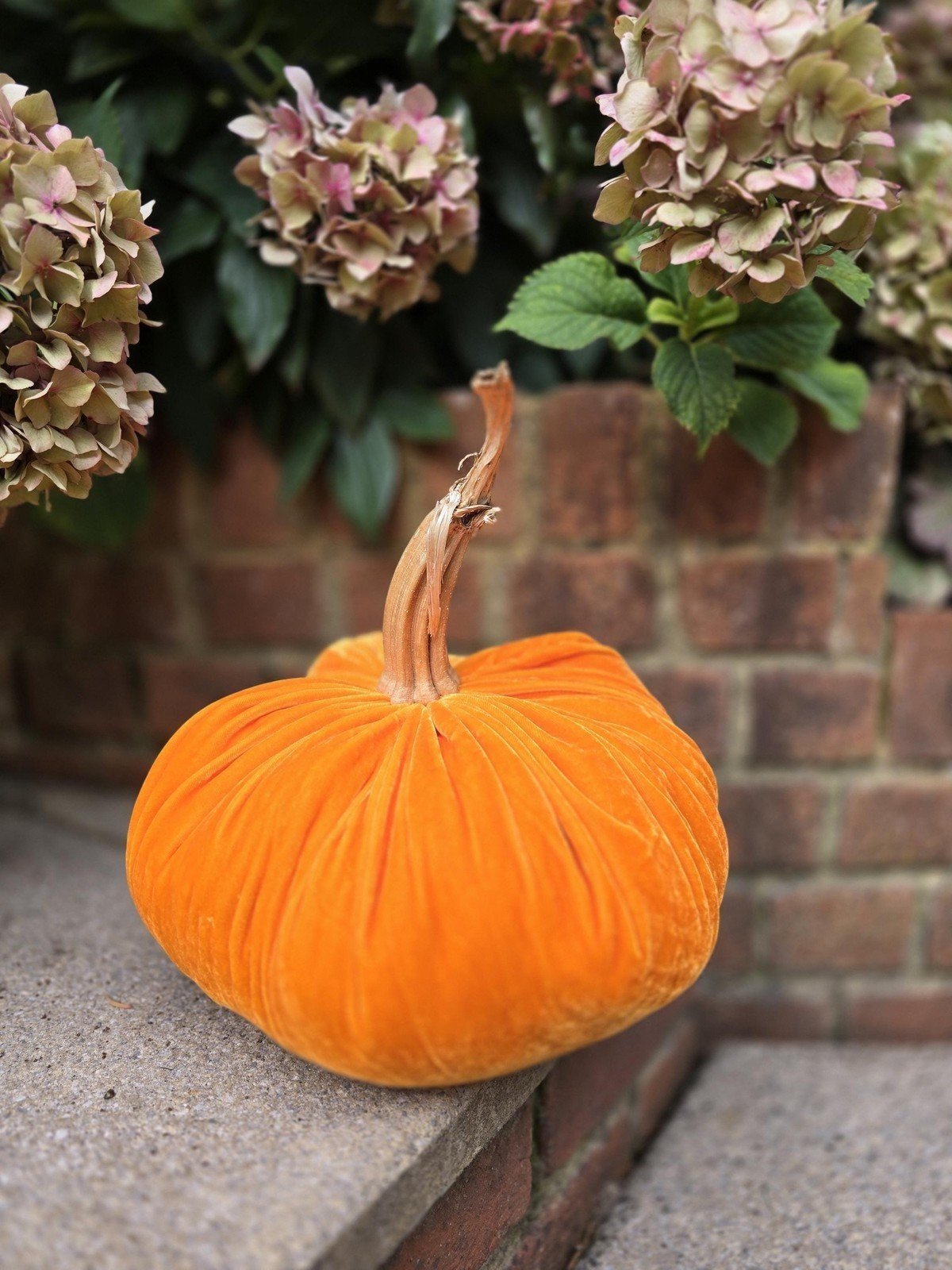 Chocolate BROWN Silk Velvet X-LARGE Pumpkin Decor Decoration Rustic Farmhouse...