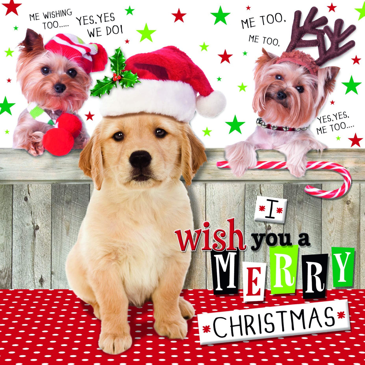 Cute Xmas Card, Dog Xmas Card, Christmas Card Generic, Cute Christmas Cards, Christmas Card For Her, Xmas Card, Generic Christmas Card, Christmas Card,Dog Christmas Cards, Christmas Cards For Him